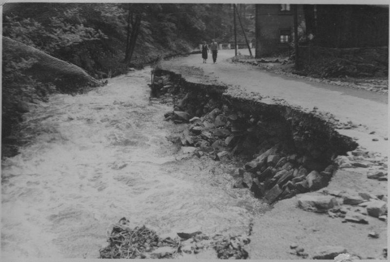 Bild005 - Edle Krone