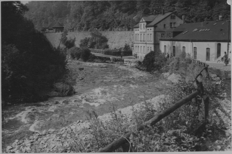 Bild008 - Edle Krone